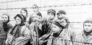 1/6.000.000: Etty Hillesum (Middelburg 1914 – Auschwitz 1943)