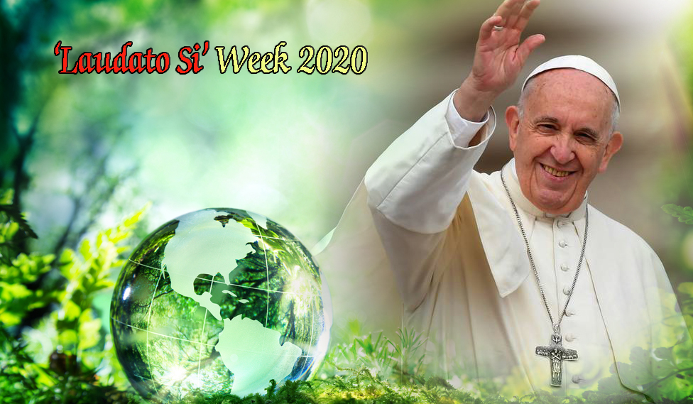 Laudato Si Week – 2020 : In Solidarity with the Wounded World ...