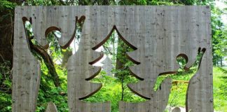 From the communication of ecology to the ecology of communication