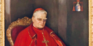 Willem Van Rossum CSsR: a Redemptorist in the History of the Missions