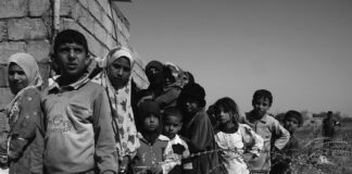 Is the use of coercive force justified in responding to the ecological and social crisis?