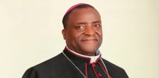 Mons. Raymond Tapiwa Mupa, C.Ss.R. appointed Bishop of the Diocese of Masvingo (Zimbabwe)