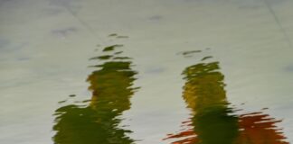 Alphonsian Academy Blog: Intersubjectivity in Maurice Merleau-Ponty