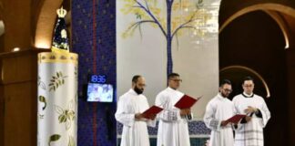 Aparecida: Three new deacons follow the example of Saint Alphonsus