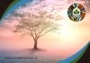 Week Four of SOC 2024: A Relational Charism that restores broken relationships and promotes Abundant Life