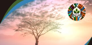 Week Four of SOC 2024: A Relational Charism that restores broken relationships and promotes Abundant Life