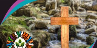 Towards an Ecological Spirituality