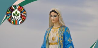 Mary, Mother of Creation and collaborator in the work of Redemption