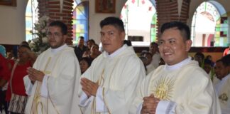 Province of Bolivia and Peru: new priests for the Church