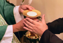 Brazil: Renewal of vows and acolyte ceremony of Clerical students from the Province of Curitiba in Londrina